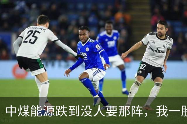 中煤能源跌到没人要那阵，我一股没卖还补了两手