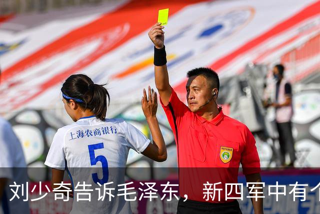刘少奇告诉毛泽东，新四军中有个人特别会打仗，几年后成了战神！