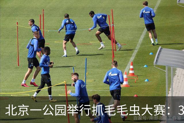 北京一公园举行抓毛毛虫大赛：3天抓了12万条，1天抓4000条只排第二；毛毛虫为啥这么多